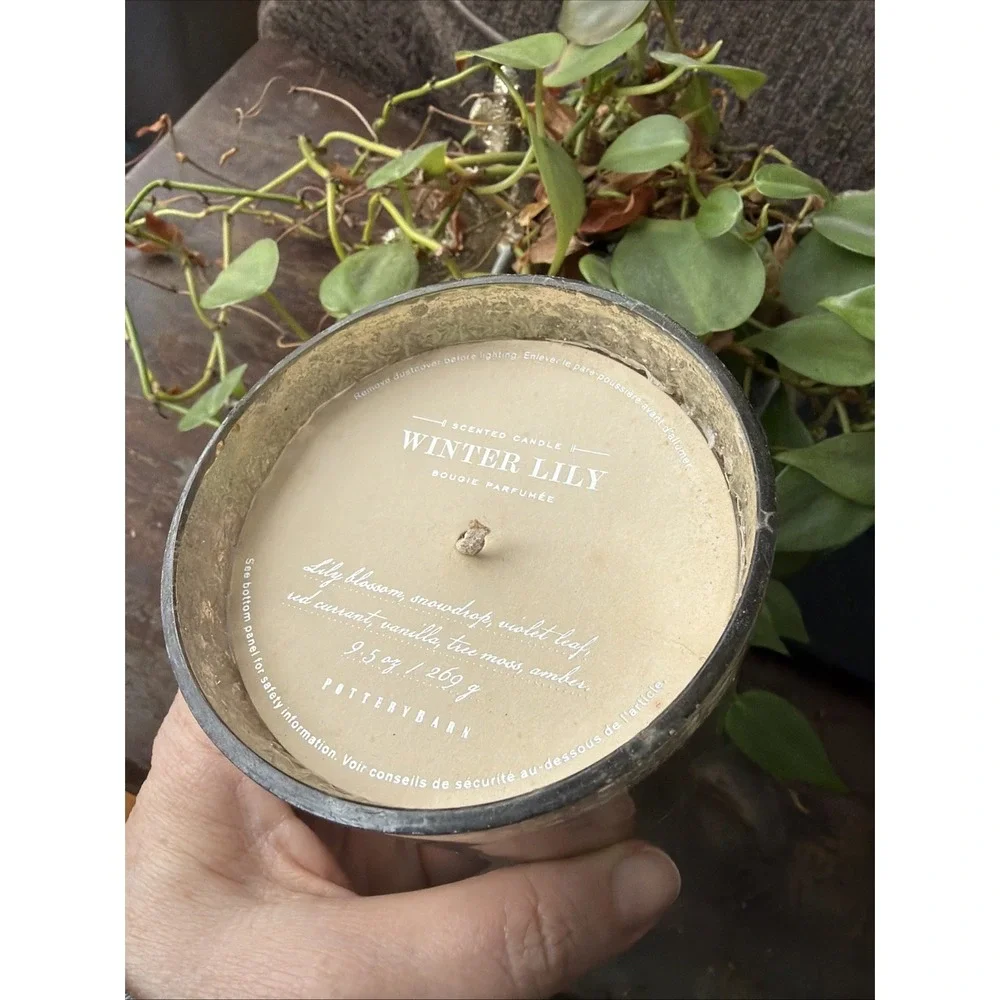 NEW Pottery Barn Winter Lily 9 Oz. Decorative Scented Candle Brand New Bougie
